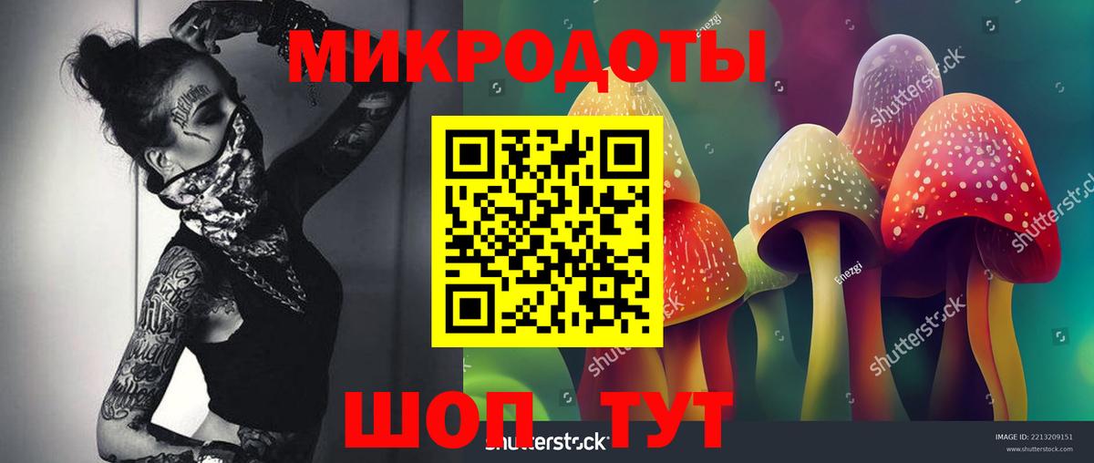 Галлюциногенные грибы ЛСД Клинцы